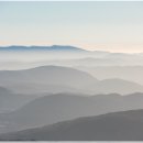 사시미래 이미지