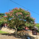 덕천사德川祠 이미지