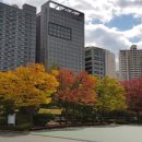 센트로치과기공소 이미지