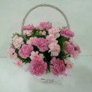 플라워디자인 이미지