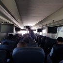 팜스프링 이미지