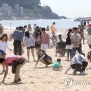 보물찾기 이미지