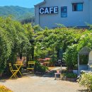 장미1길 | 김해 카페 휘게 장미꽃 보러 간다면 이 포스팅 꼭 보고 가세요 (5월 말 방문 후기)