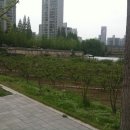 올림픽교차로 이미지