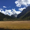 청두목장 | 사천성의 꽃 - 잊을수없는 그곳 야딩(亚丁)