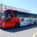 나주시티투어버스 이미지