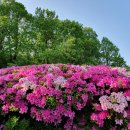 금호동 철조각공원 아름다운 풍경 사진을 담아 보았습니다.(깅세희 19,05,02) 이미지