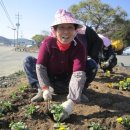 대치면사무소 이미지