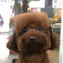 동그라미 이미지