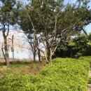 인의축산 이미지