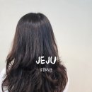 청춘미용실 - 제주시 | 제주 이도이동 살롱드청춘 펌 잘하는 제주 미용실 레이어드펌 솔직후기