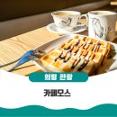 가례지 | [카페모스] 의령 #가드닝카페