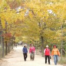 경북 영주 부석사(浮石寺) - 무량수전(無量壽殿) 이미지