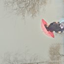 빨리쎌프 이미지