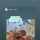 둔산중로-41 네이버블로그