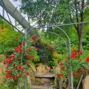 화강황토 이미지