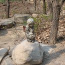 정령의숲 이미지