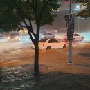 경보 센텀 이미지