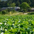 이응노생가기념관 이미지