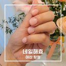 아산 탕정 네일샵 추천 네일해효 유지력 좋아 재방문한 내돈내산 후기