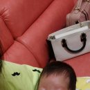 내품에햇살 이미지