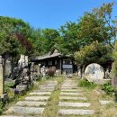 사람박물관얼굴 이미지