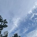 (주)행복더하기 이미지