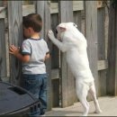 거기에/거기에서 이미지