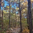 매송체육공원 족구장 이미지