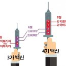 독감 예방주사, 지금이라도 맞을까요? 이미지