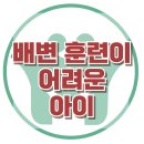 [배변 활동 어려운아이] 한국아동청소년심리상담센터 이미지