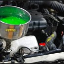 하이카동백점 이미지