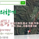 비발디스케치북 이미지