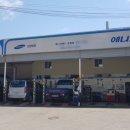 애니카랜드호평점 이미지