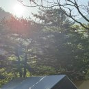 백덕산캠핑장 | 자연을 좋아한다는건 핑계고