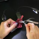 대장2구 이미지