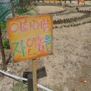 이화예능유치원 이미지