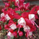 나로도주유소 이미지