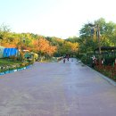 나비공원　 이미지