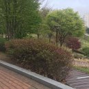 3.1.공원 이미지