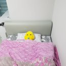 (주)오토컴 | 제품부터 서비스까지! 역시 침대는 에이스♥