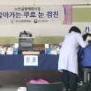 한국실명예방재단 이미지