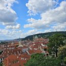 세마 사슴 | 성/프라하성티켓/근위병교대식/U Tří jelínků(굴라쉬,사슴고기)/젤라또카페/Riegrovy Sady/나세마소)