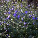 수리초등학교 이미지