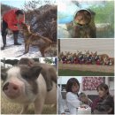 희대농장 이미지