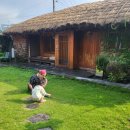 올곧제주 이미지