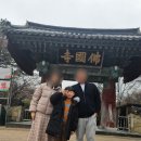 뷰델카라반펜션 | 경주 애견동반 [뷰델카라반펜션] 방문후기