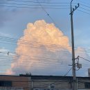 최수현농장 | 여름이 가는구나