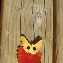 신영주유치원 이미지