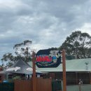 퀸농장 | [투어민] 신혼여행 호주/발리 12박 15일 솔직후기_8일차_퀸 빅토리아 마켓_필립 아일랜드 투어...